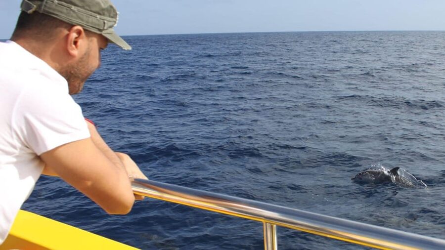 Lanzarote: 2.5-Hour Sunset and Dolphins Cruise - Key things I’d watch for