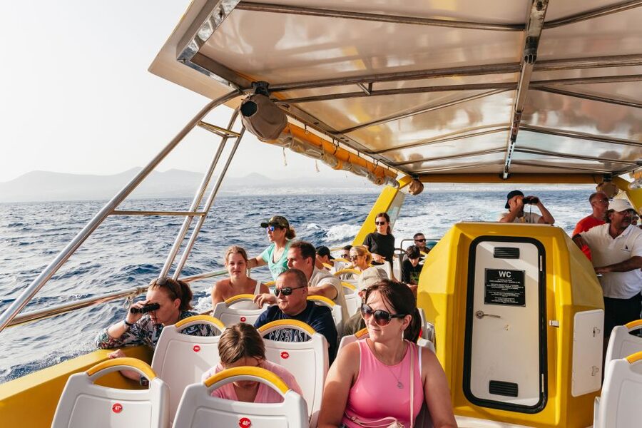 Lanzarote: 2.5-Hour Sunset and Dolphins Cruise - Weather, sea spray, and what to bring (seriously)