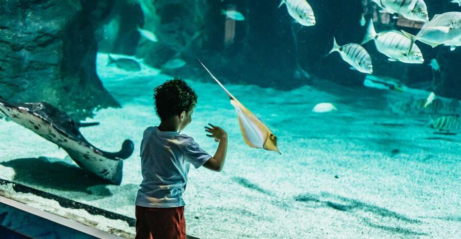 Lanzarote: Aquarium Entry Ticket - Key Highlights Worth Your Time