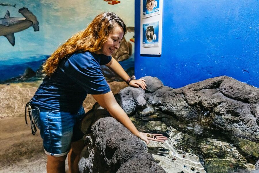 Lanzarote: Aquarium Entry Ticket - Feeding Times, Staff Help, and Photo Moments