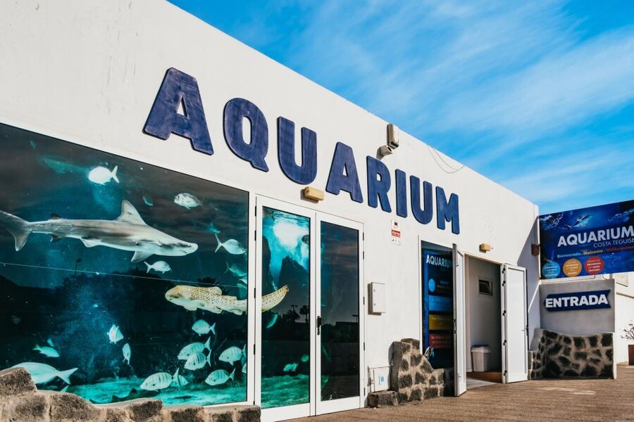 Lanzarote: Aquarium Entry Ticket - Why Lanzarote Aquarium Works as a Heat-Proof Plan