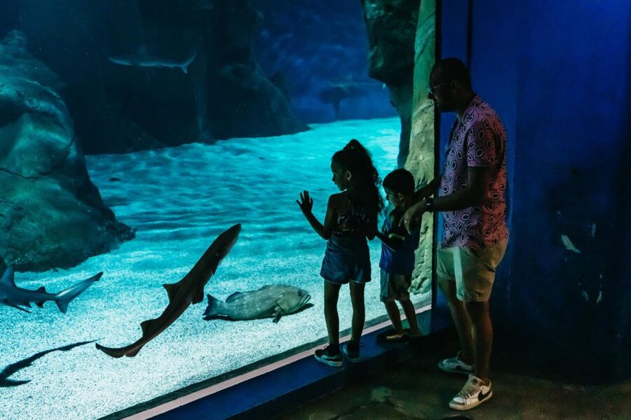 Lanzarote: Aquarium Entry Ticket - Open Sea Section: Rays, Guitarfish, and Shark Space