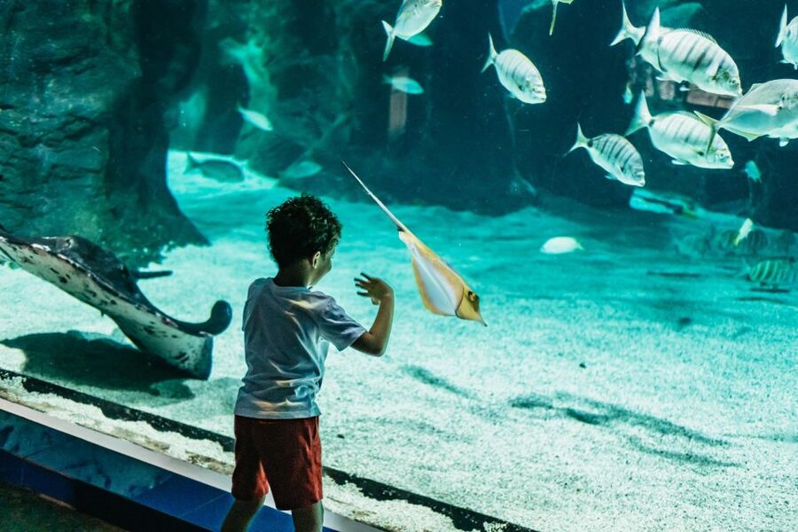 Lanzarote: Aquarium Entry Ticket - Entering the Aquarium: How to Pace Your Visit