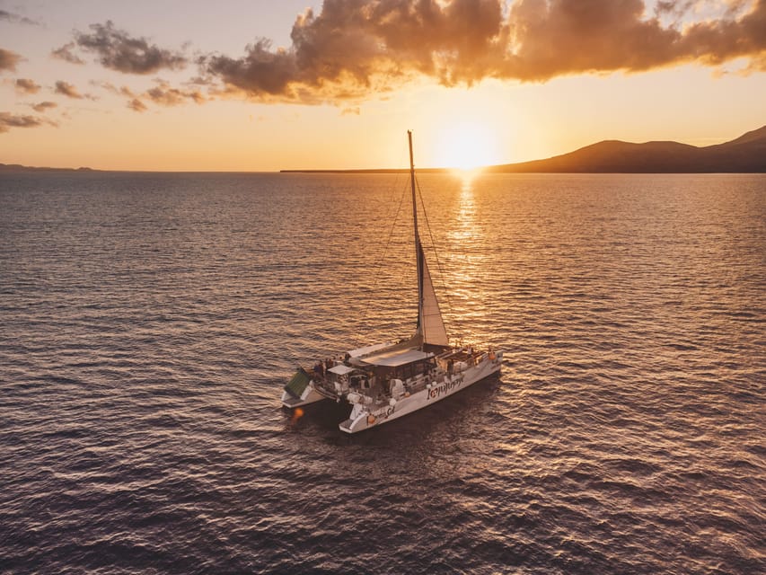 Lanzarote: Dolphin-Watching Sunset Cruise with Transfers - How dolphin spotting really works in Lanzarote