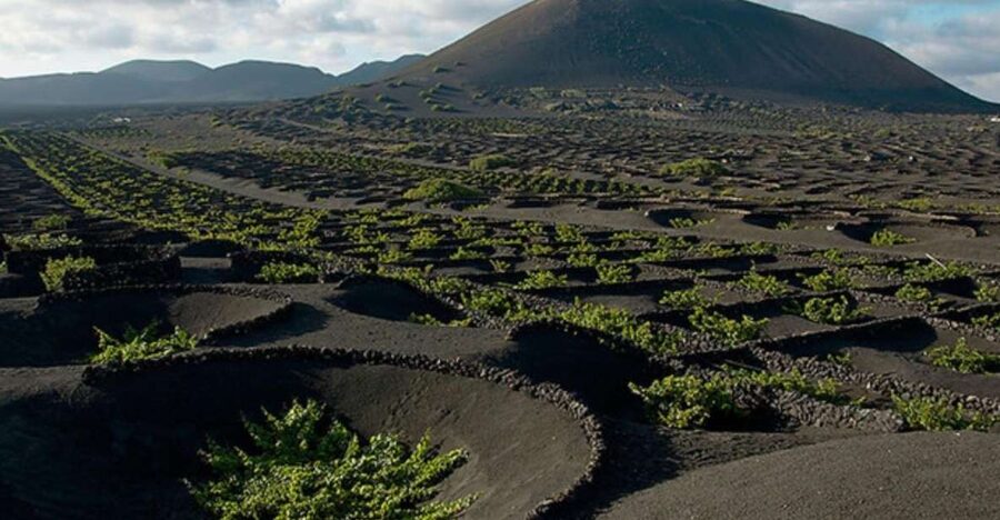 Lanzarote: Full Day Bus Tour with Scenic Views - A Simple Route That Actually Shows Off Lanzarote