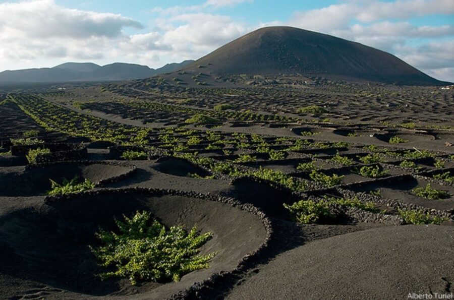 Lanzarote: Full Day Bus Tour with Scenic Views - Pickup Morning Reality Check: Delays, Coach Changes, and Seat Strategy
