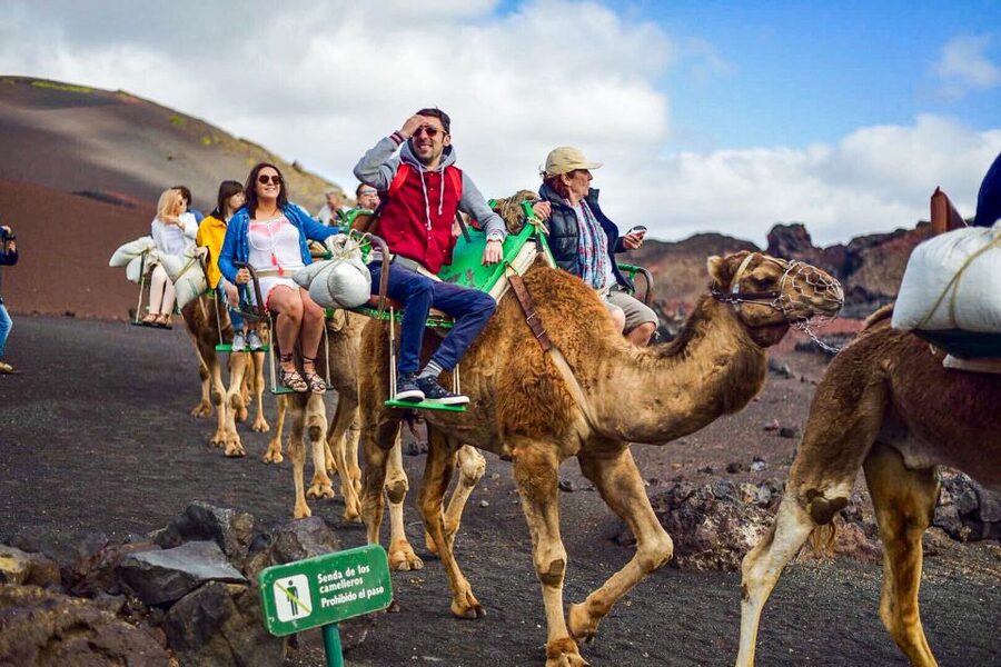Lanzarote: Full-Day Island Highlights Tour - Price and ticket options: where value actually comes from