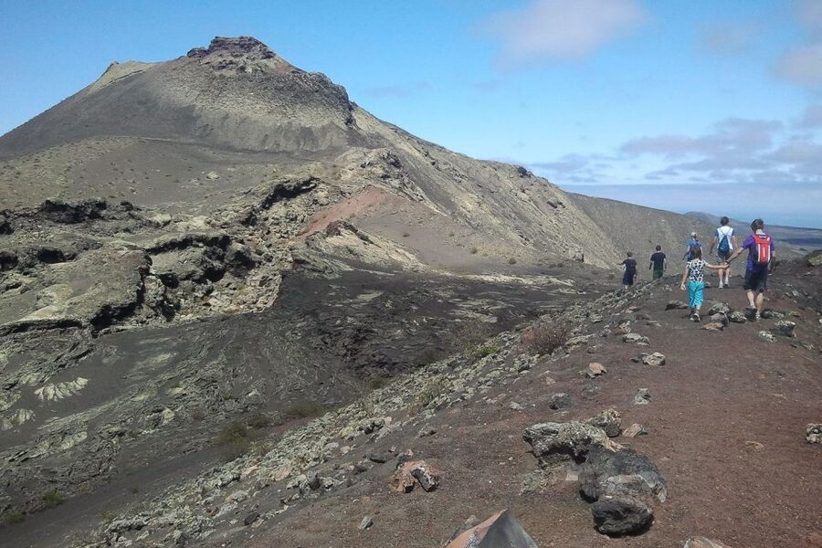 Lanzarote: Guided Volcano Hike with Transfers - Flora, Fauna, and Conservation You Can Actually Use