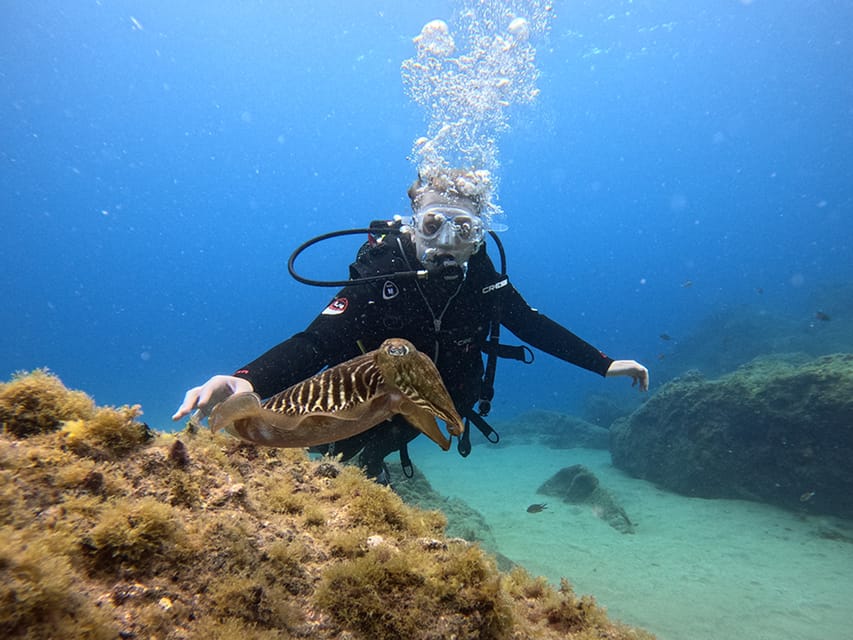 Lanzarote: Intro to Diving Experience for Beginners - Key highlights before you go