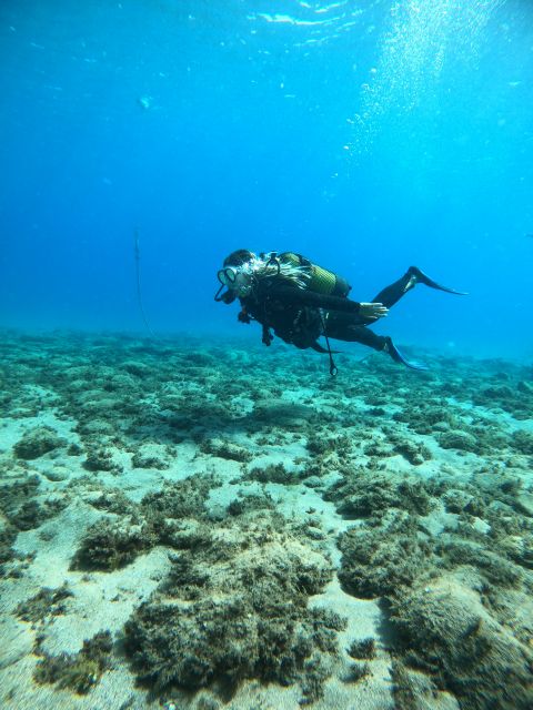 Lanzarote: Intro to Diving Experience for Beginners - Practical tips for your first scuba session in Lanzarote