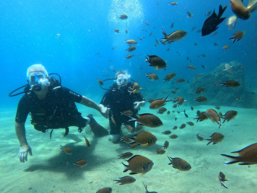 Lanzarote: Intro to Diving Experience for Beginners - Should you book this beginner scuba try session in Lanzarote?
