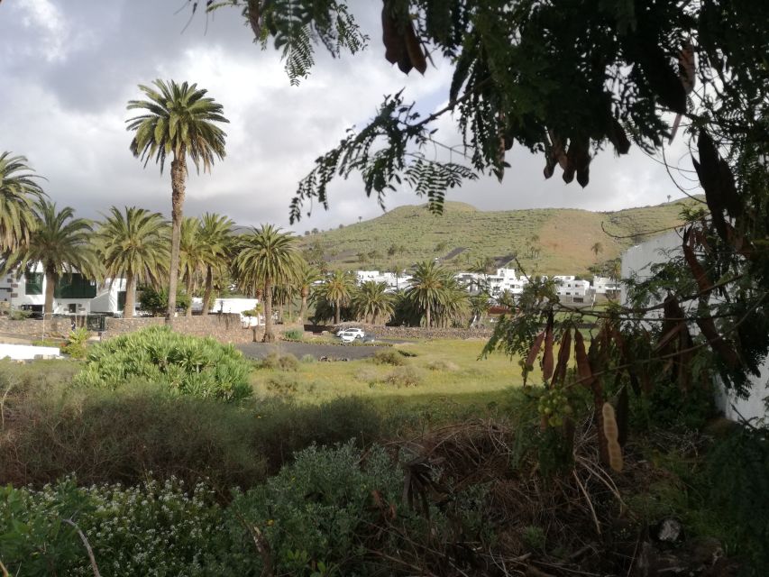 Lanzarote: Jameos del Agua & North Island for Cruise Guests - The Return Drive Through Arrieta, Guatiza, and Teguise Vibes