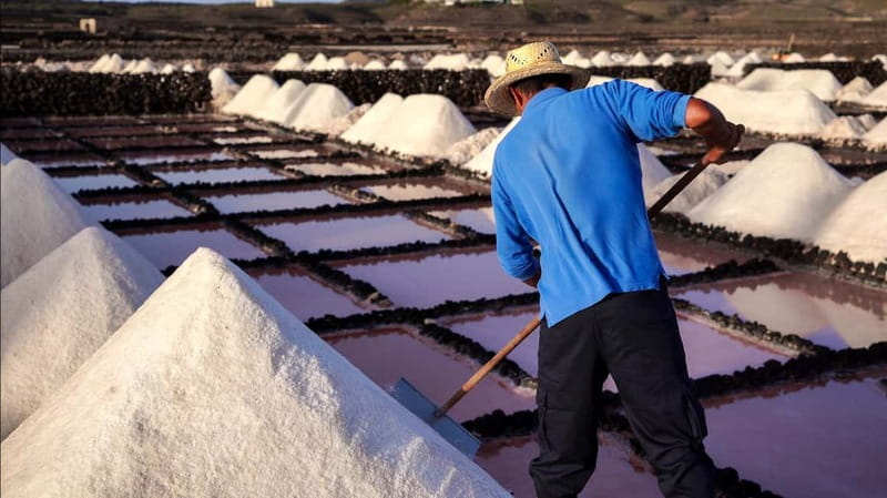 Lanzarote: Janubio Salt Flats Guided Tour - Best for whom, and who should choose a different plan