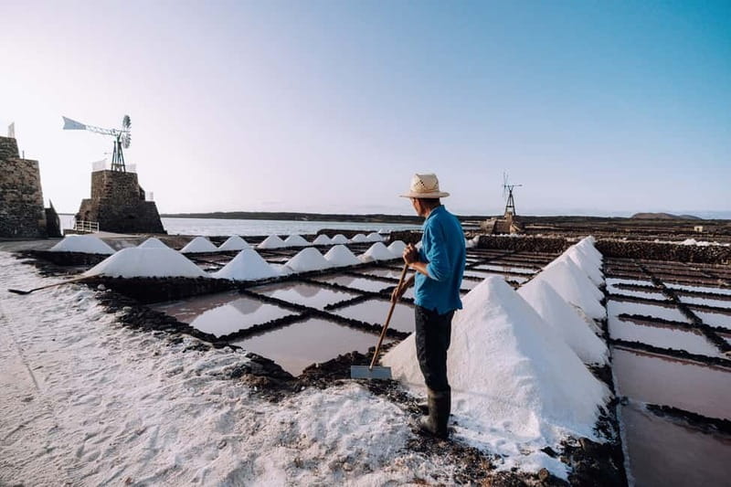 Lanzarote: Janubio Salt Flats Guided Tour - Should you book the Lanzarote Janubio salt flats tour?