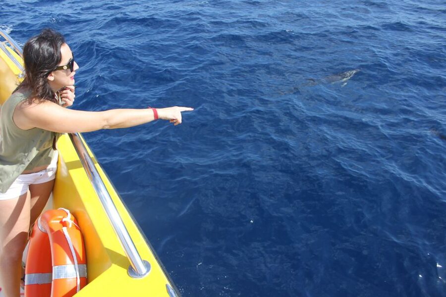 Lanzarote: Lobos Island Half-Day Dolphin Watching Trip - Who you might hear on the mic: guides and onboard energy