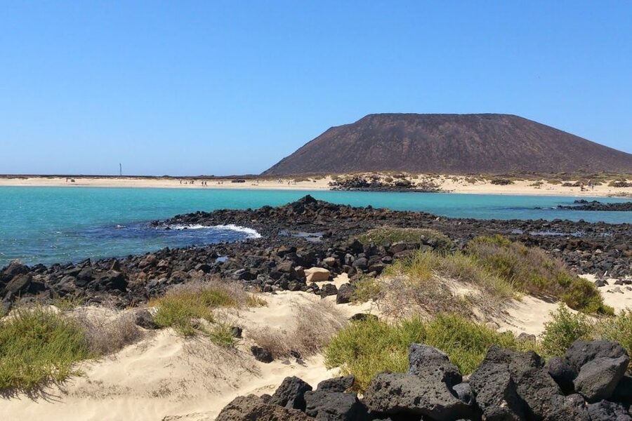 Lanzarote: Lobos Island Half-Day Dolphin Watching Trip - Swimming and snorkel reality check: gear and water conditions