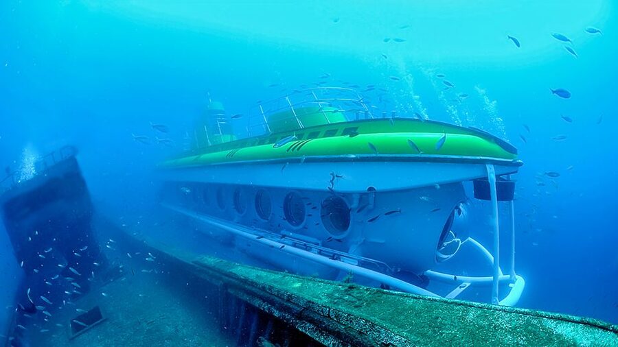 Lanzarote: Real Submarine Dive - Marine life and the fish chart: how to make the hour count
