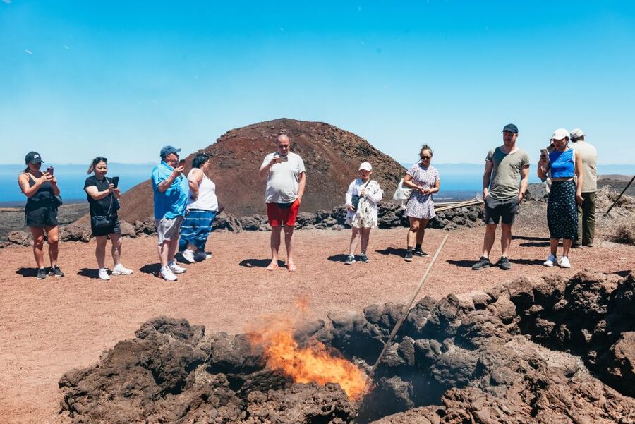 Lanzarote: Timanfaya National Park & La Geria Tour - Key things I’d watch for before you go