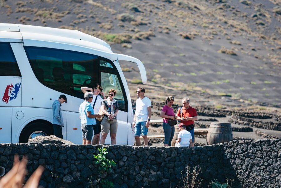 Lanzarote: Timanfaya National Park & La Geria Tour - La Geria wine-growing area: seeing how humans adapt