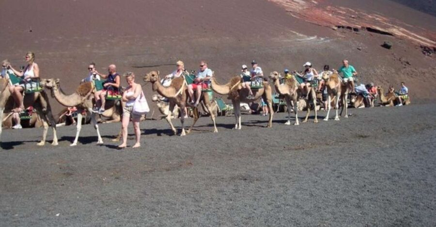 Lanzarote: Timanfaya National Park Tour - Entering Timanfaya’s volcanic world, with a guide who keeps it human