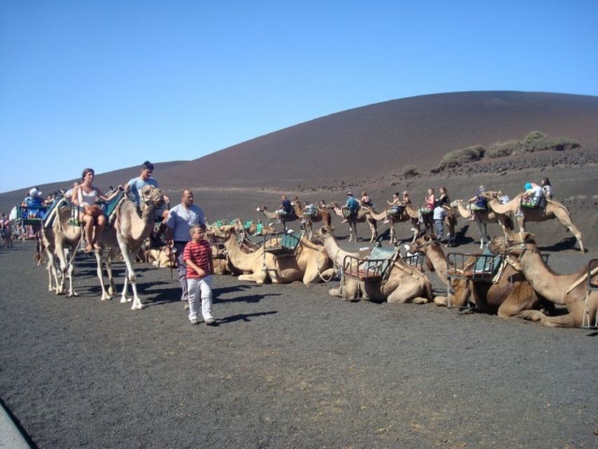 Lanzarote: Timanfaya National Park Tour - Timanfaya National Park stops: geothermal demonstrations and the top viewpoints