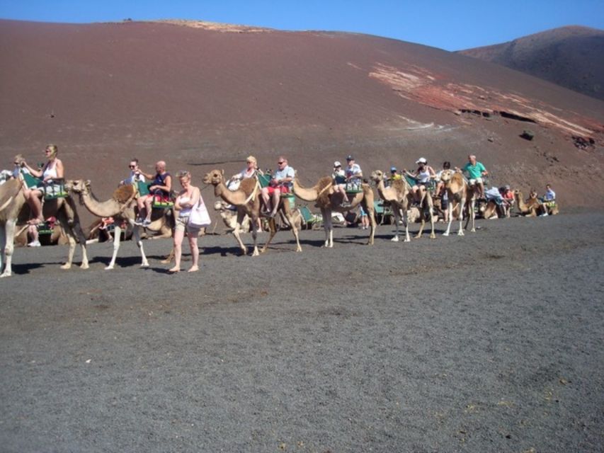 Lanzarote: Timanfaya National Park Tour - The quick wine tasting and souvenir stop: small but useful