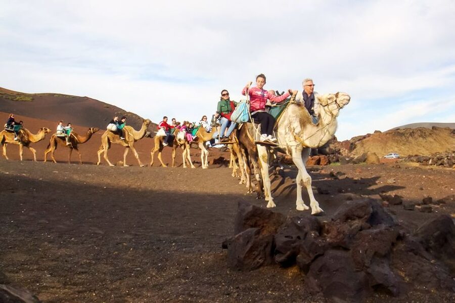 Lanzarote: Timanfaya Park and Jameos del Agua Full-Day Tour - Quick hits