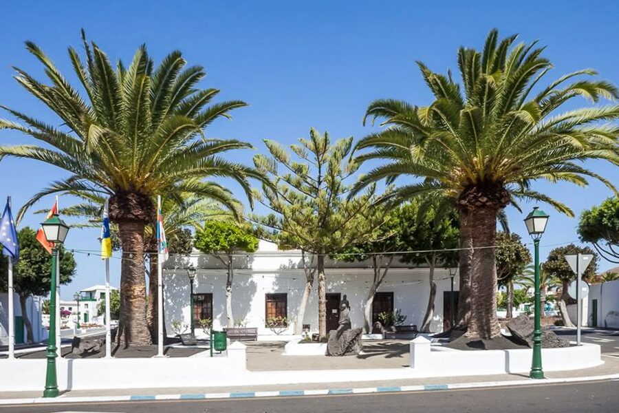 Lanzarote: Timanfaya Park and Jameos del Agua Full-Day Tour - Valley of 1000 Palms: a welcome change on Lanzarote’s north side