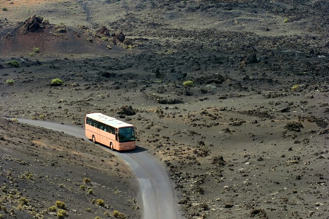 Lanzarote Volcano and Wine Region Tour from Fuerteventura - La Geria Wine Region Visit at Bodega Antonio Suarez