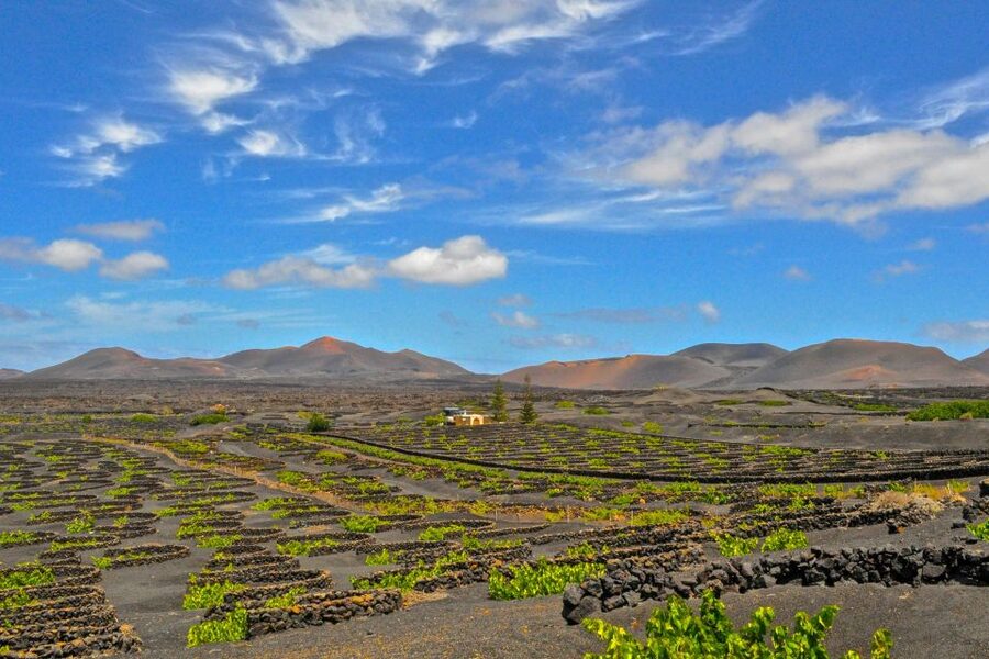 Lanzarote: Volcanos of Timanfaya and Caves Tour with Lunch - Key points worth marking on your map