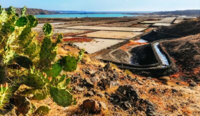 Volcanos of Timanfaya and Caves Tour with Lunch