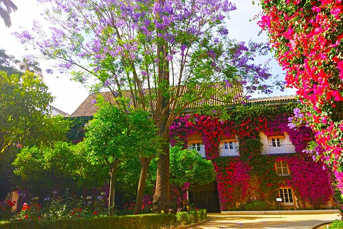 "Las Dueñas" Palace ticket + Audioguide - Who should book this Palacio de las Dueñas visit