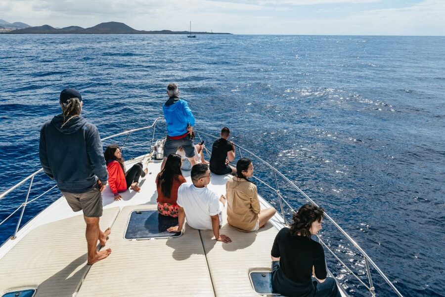 Las Galletas: Whale & Dolphin Tour with Local Skipper - Final Call: Should You Book This Las Galletas Whale and Dolphin Cruise?