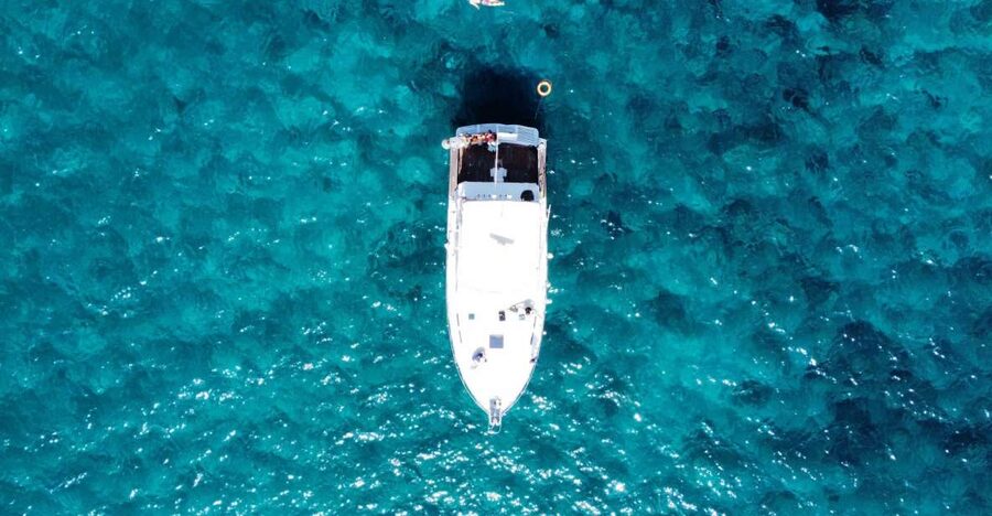 Las Galletas: Whale & Dolphin Tour with Local Skipper - The Lunch Factor: Why On-Board Food Changes the Whole Trip