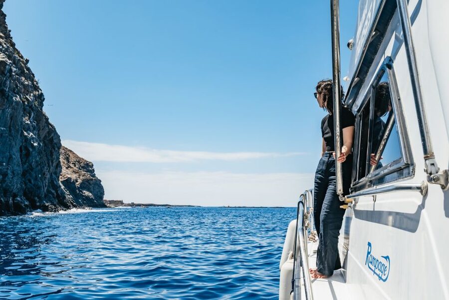 Las Galletas: Whale & Dolphin Tour with Local Skipper - Price and Value: Is $69 a Fair Deal Here?