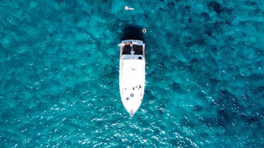 Las Galletas: Whale & Dolphin Tour with Local Skipper - Who This Tour Suits Best (and Who Might Want Another Option)