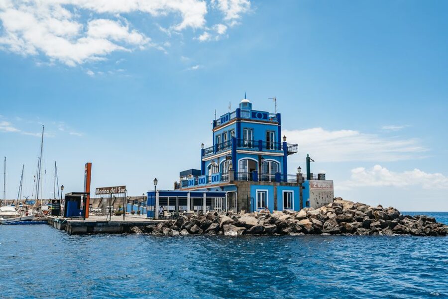 Las Galletas: Whale & Dolphin Tour with Local Skipper - Tips to Reduce Seasickness and Maximize Comfort