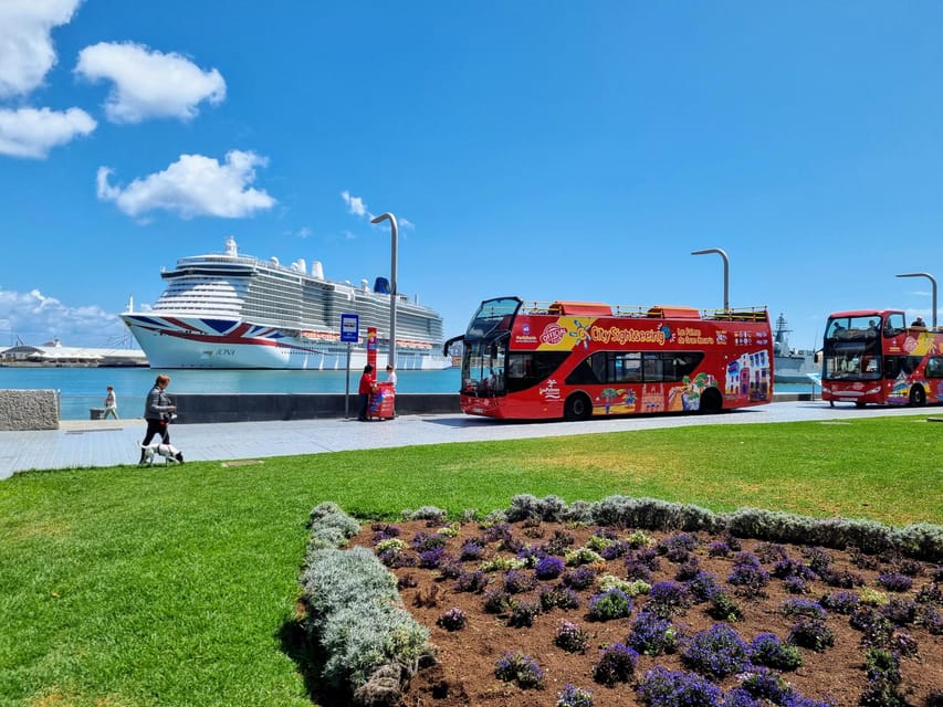 Las Palmas: City Sightseeing Hop-On Hop-Off Bus Tour - Price and value: what you really pay for