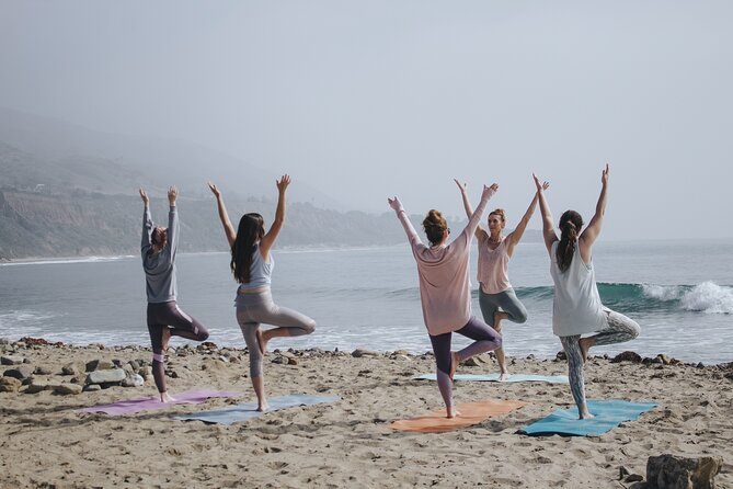 Lezioni di Surf per Beginner e Intermedi (6 persone a istruttore) - Surf Equipment and Comfort: Board, Wetsuit, Leash