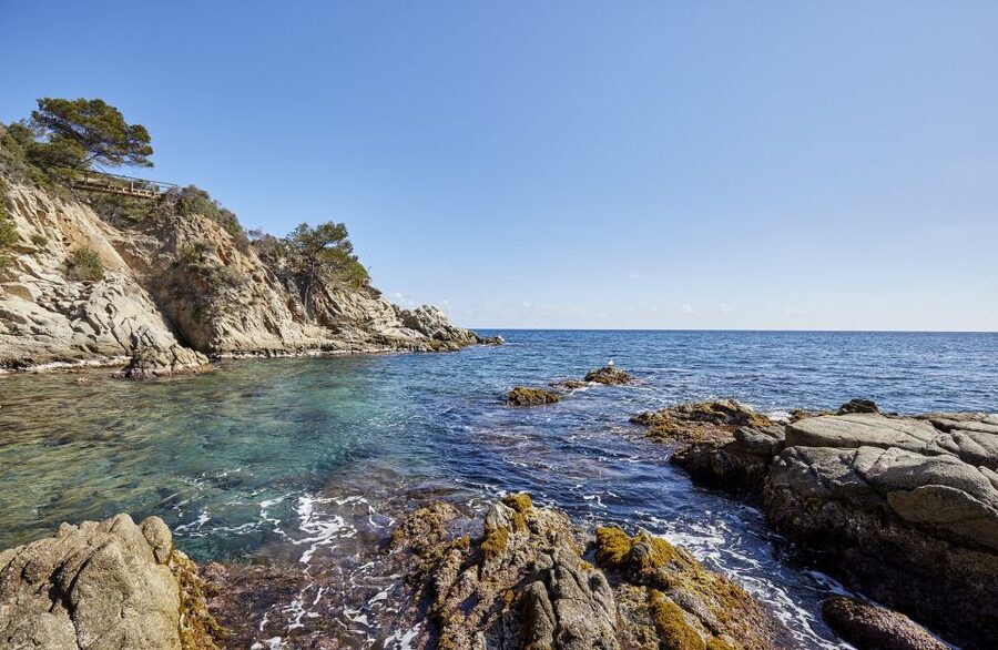 Lloret de Mar: Costa Brava Kayak Tour and Swimming - What happens before you paddle: safety and navigation that pays off