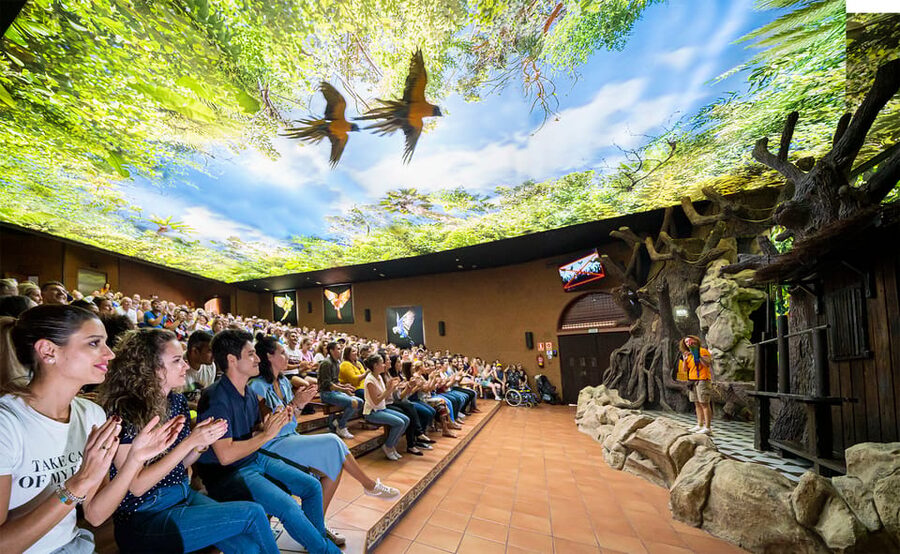 Loro Parque and Siam Park Combined Admission Tickets - Two Parks, Two Sides of Tenerife: How the combo ticket really works
