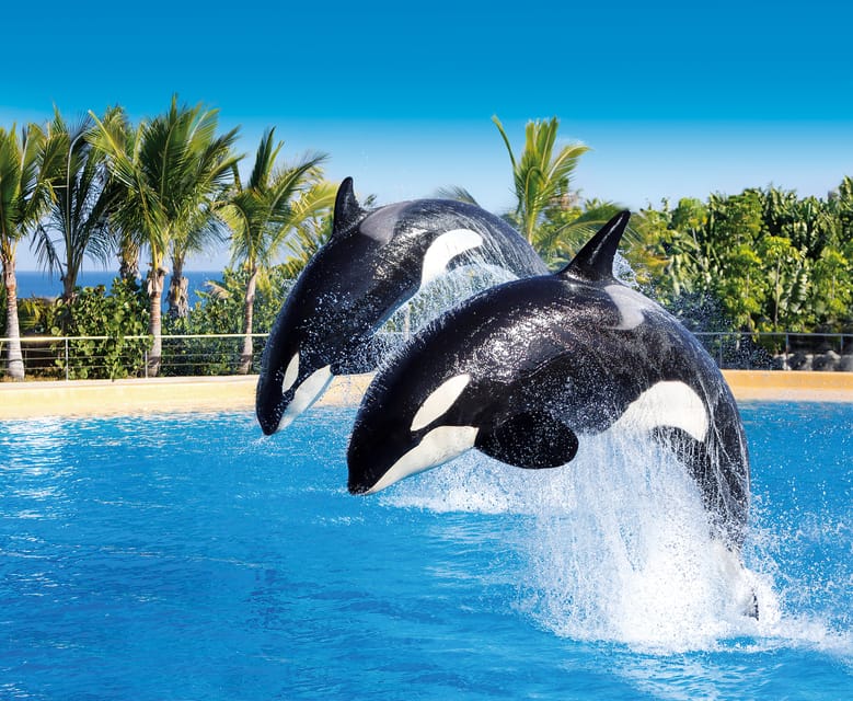 Loro Parque and Siam Park Combined Admission Tickets - Kinderlandia: The kids’ world that keeps adults sane