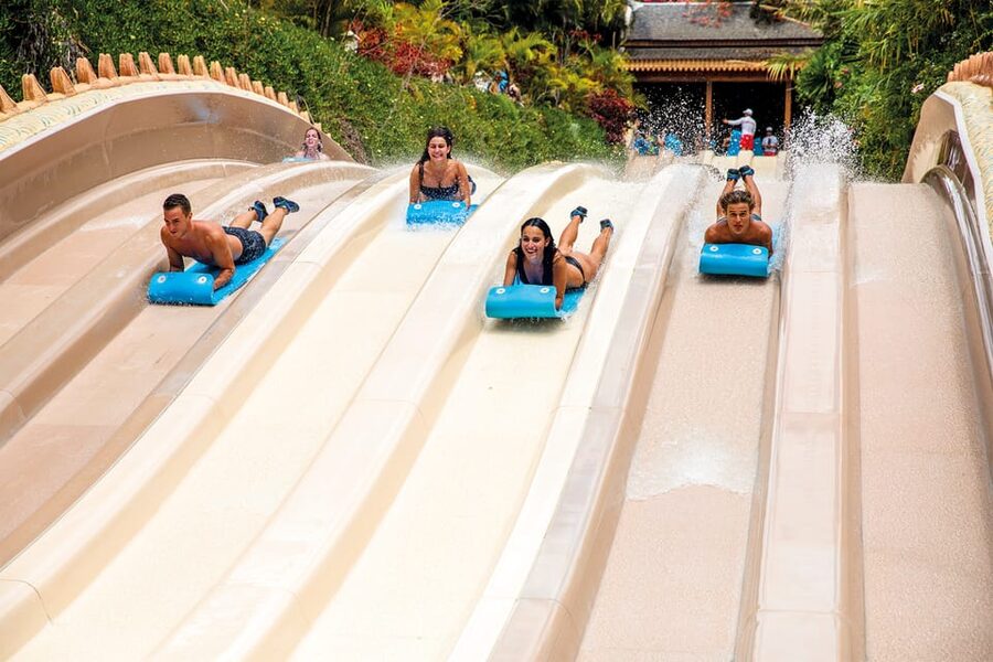 Loro Parque and Siam Park Combined Admission Tickets - Price and value around $92: when this combo makes sense
