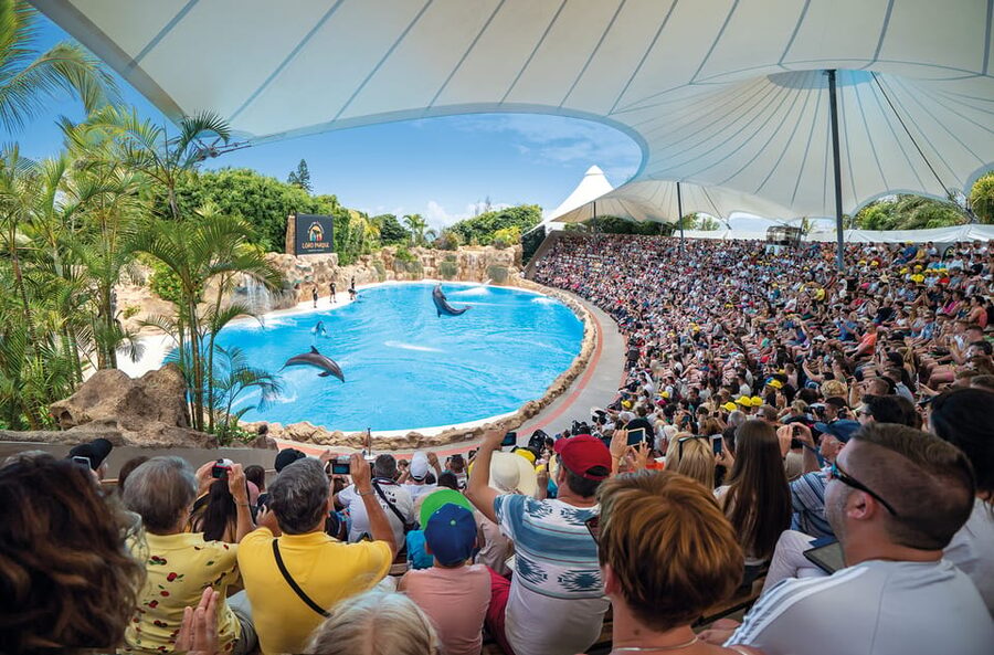 Loro Parque and Siam Park Combined Admission Tickets - Best fit for families, animal lovers, and thrill seekers