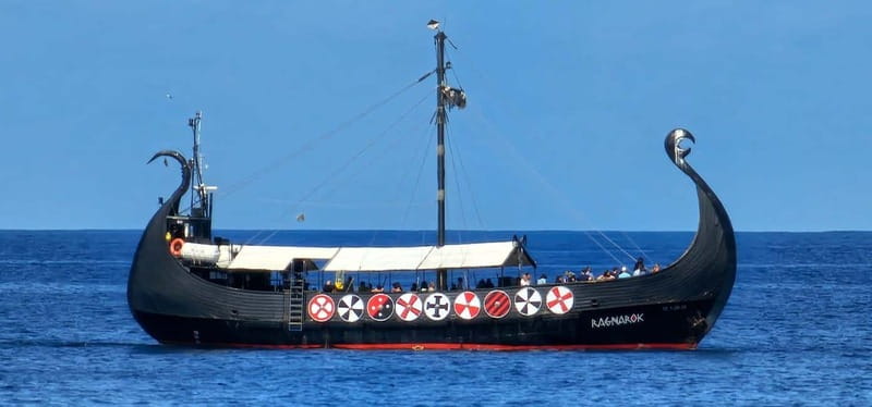 Los Cristianos: Viking Cruise Whales & Dolphins Watching - Comfort on a bumpy sea: what to do if the ride gets rough