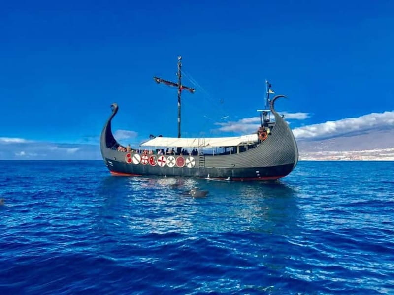 Los Cristianos: Whale Watching Cruise w/Swim Stop & Drinks - The Wildlife Route Between Tenerife and La Gomera