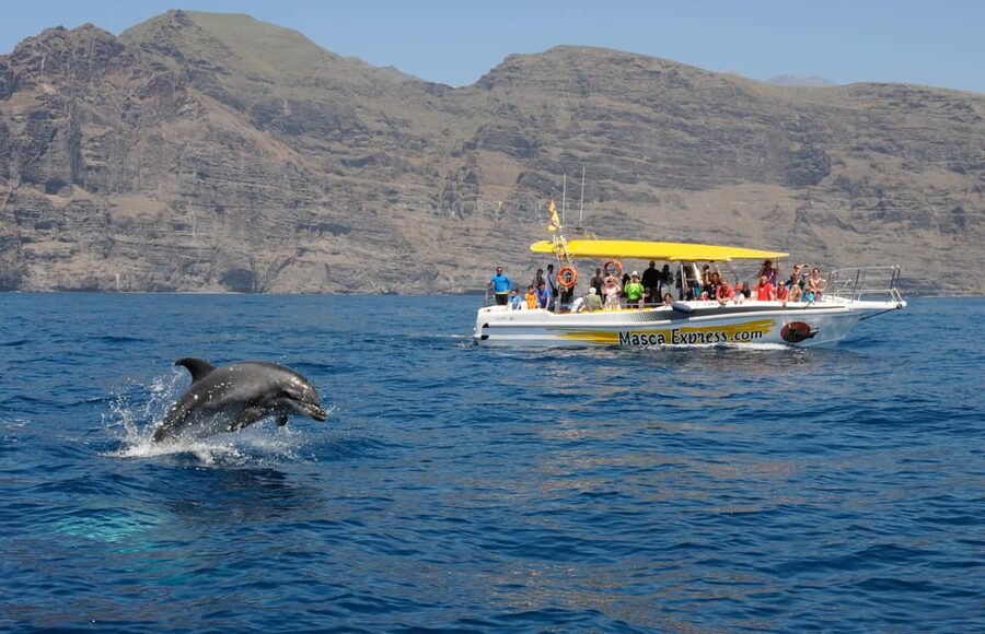 Los Gigantes: Dolphin & Whale Watching Cruise with Swim Stop - Sailing by Los Gigantes cliffs with a cold drink break