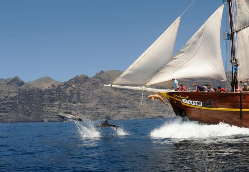 Los Gigantes: Dolphin & Whale Watching Tour on a Pirate Boat - Why Los Gigantes looks and feels so dramatic from the water