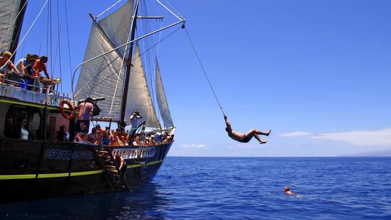 Los Gigantes: Dolphin & Whale Watching Tour on a Pirate Boat - The Masca and Los Gigantes cliffs segment you will actually remember