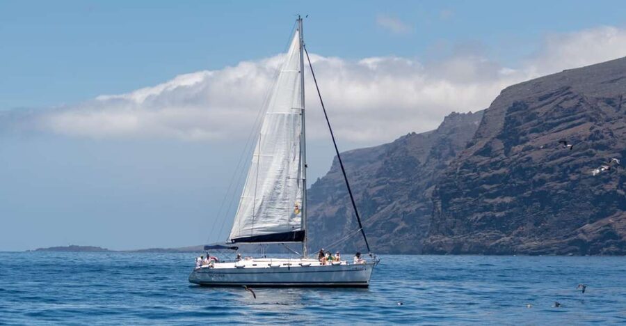 Los Gigantes: Sailing Excursion with Swimming, Drink & Tapas - What I’d prioritize if I booked this